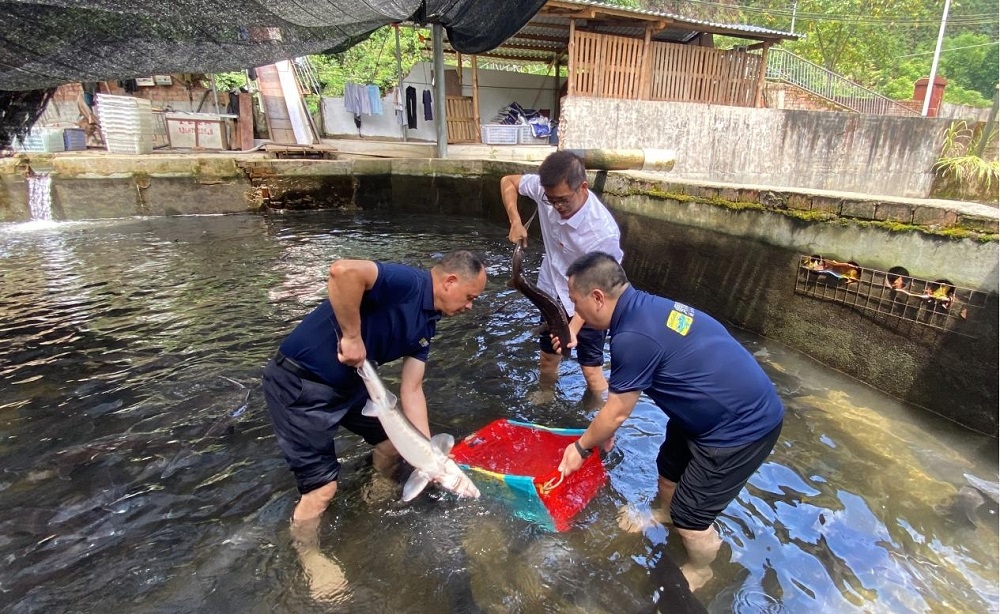 首页-人生就是博